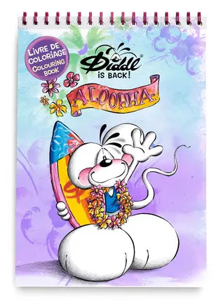 Cahier de coloriage diddl