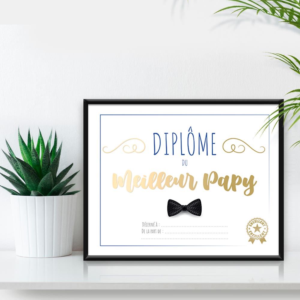 DIPLÔME MEILLEUR PAPY