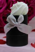 rose blanche dans son écrin noir