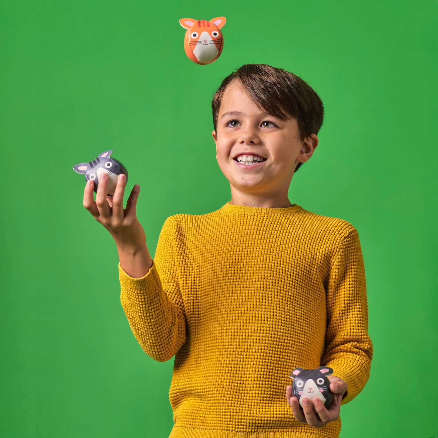 Balles de jongles chats