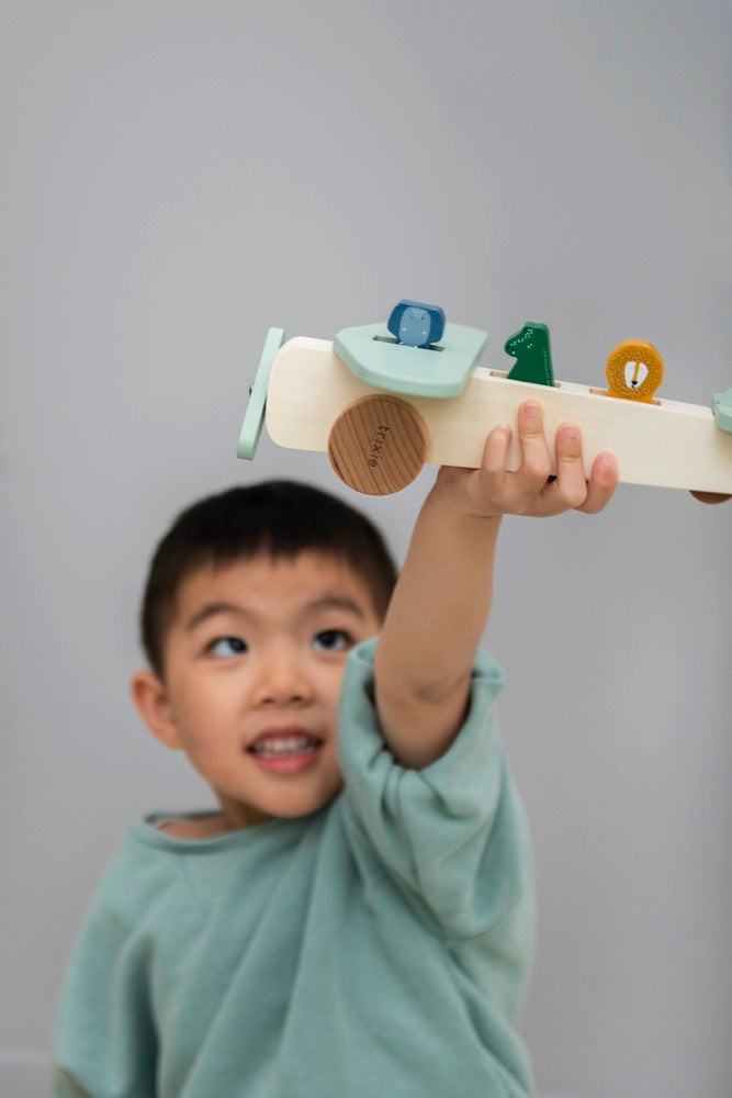 Avion en bois animaux