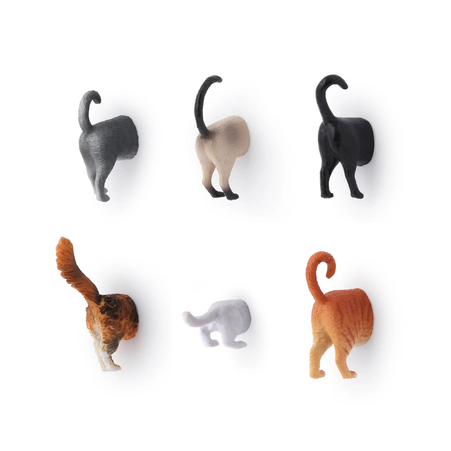 Magnet cul de chat