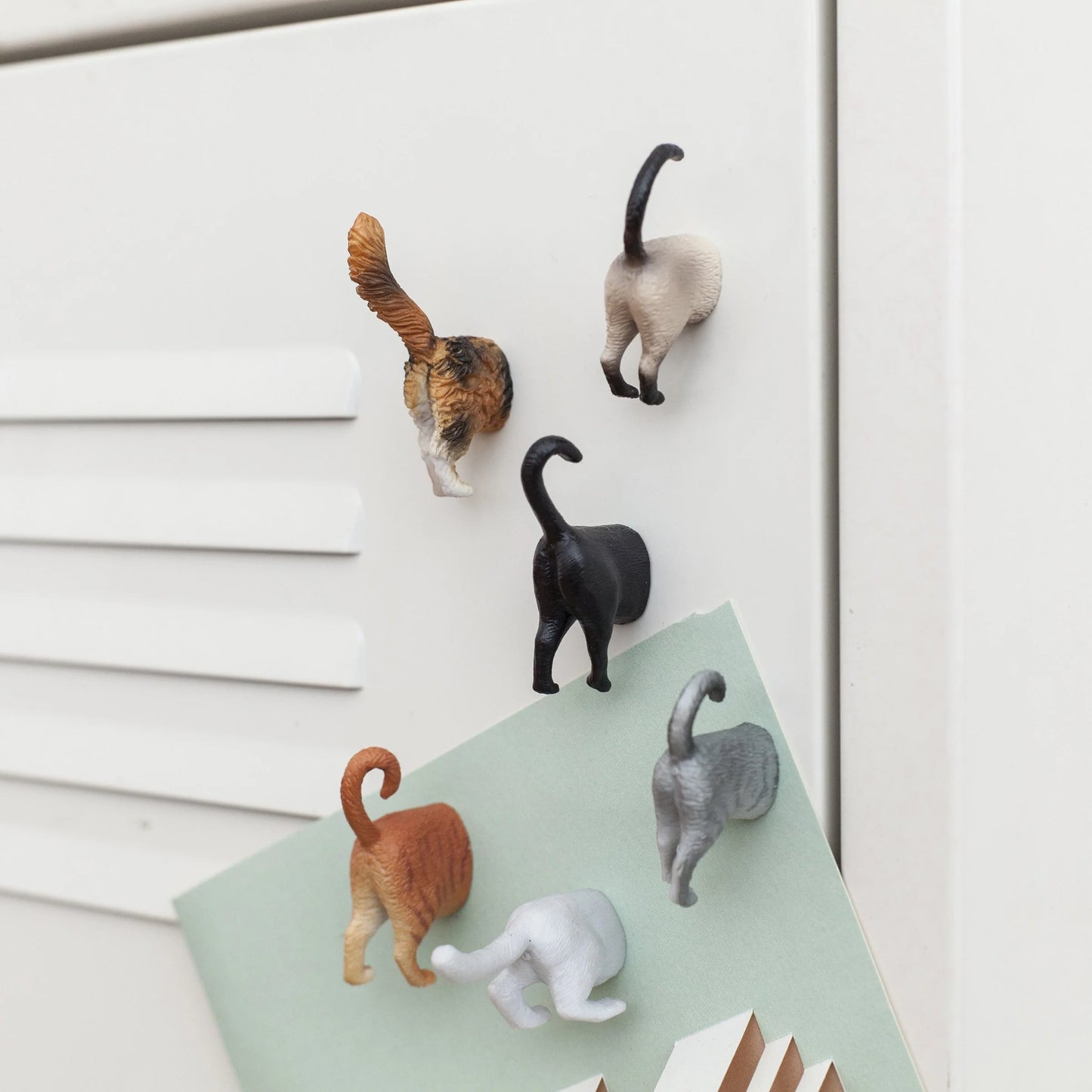 Magnet cul de chat