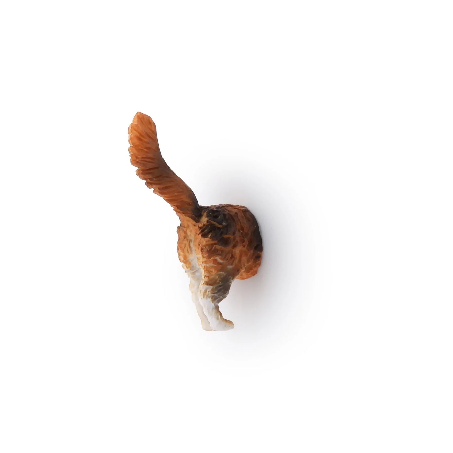 Magnet cul de chat