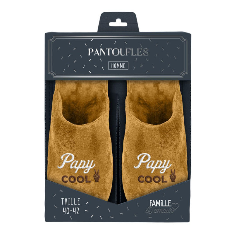 Pantoufles papy