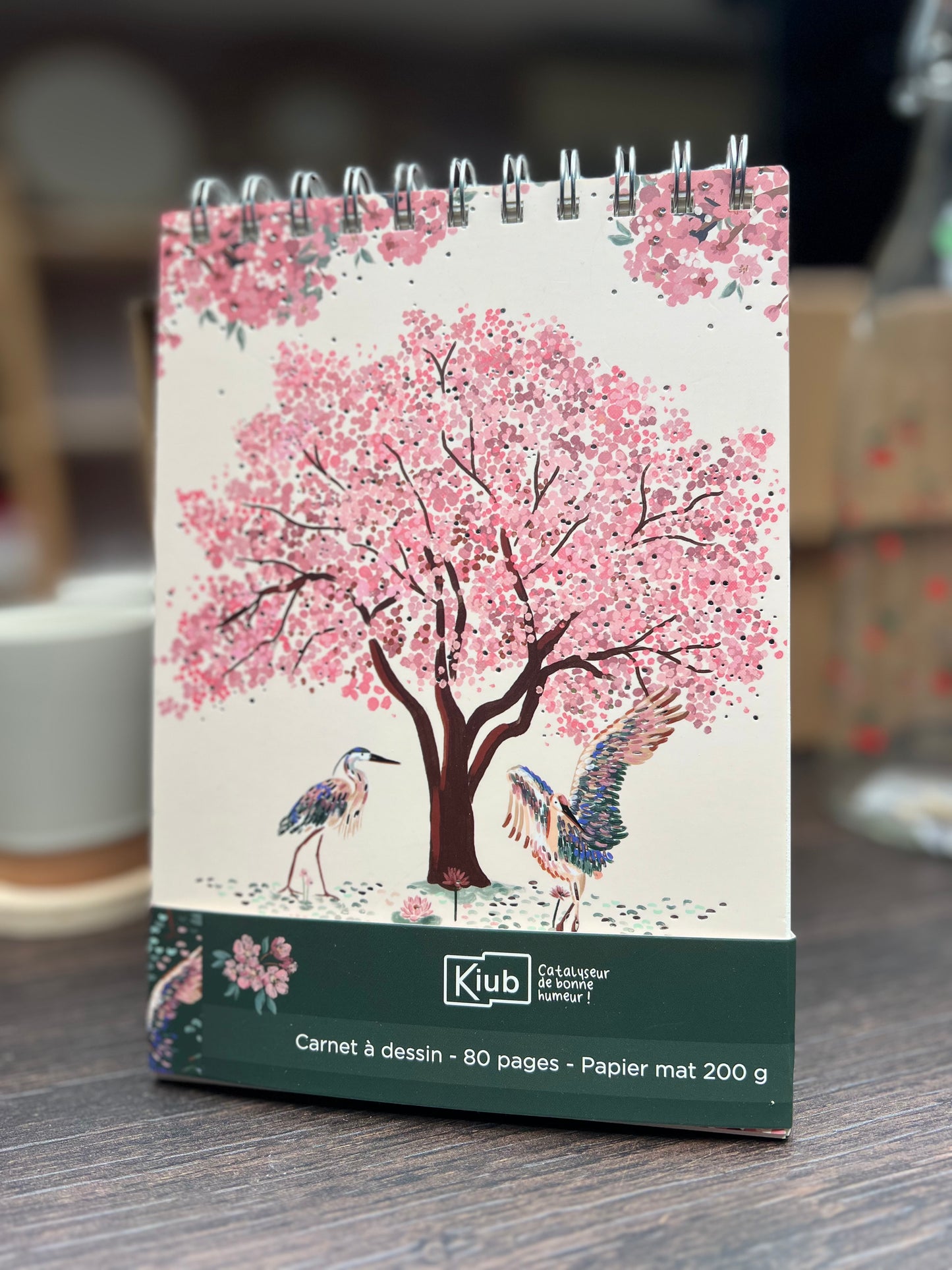 Carnet à dessin fuji