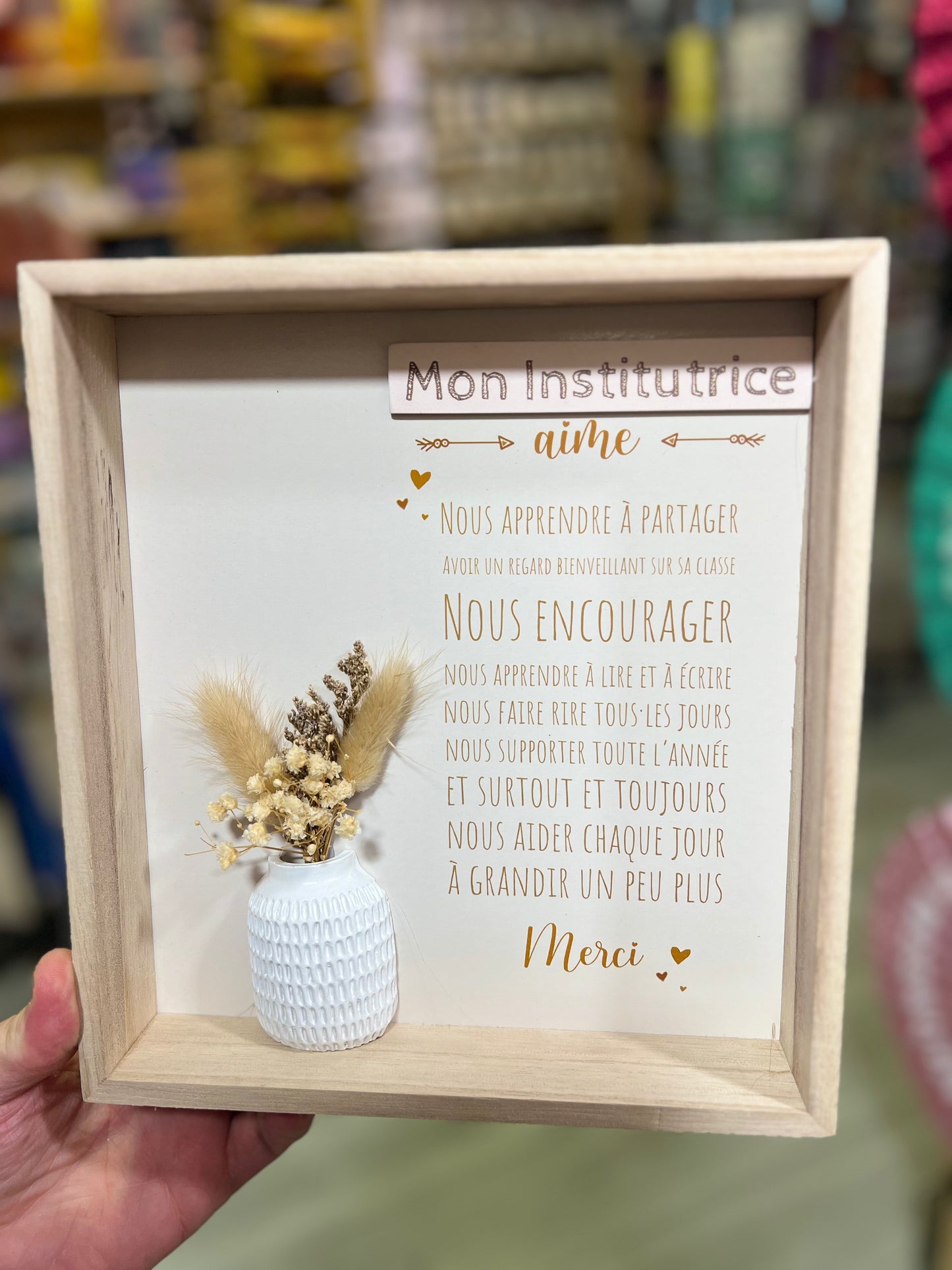 Cadre institutrice
