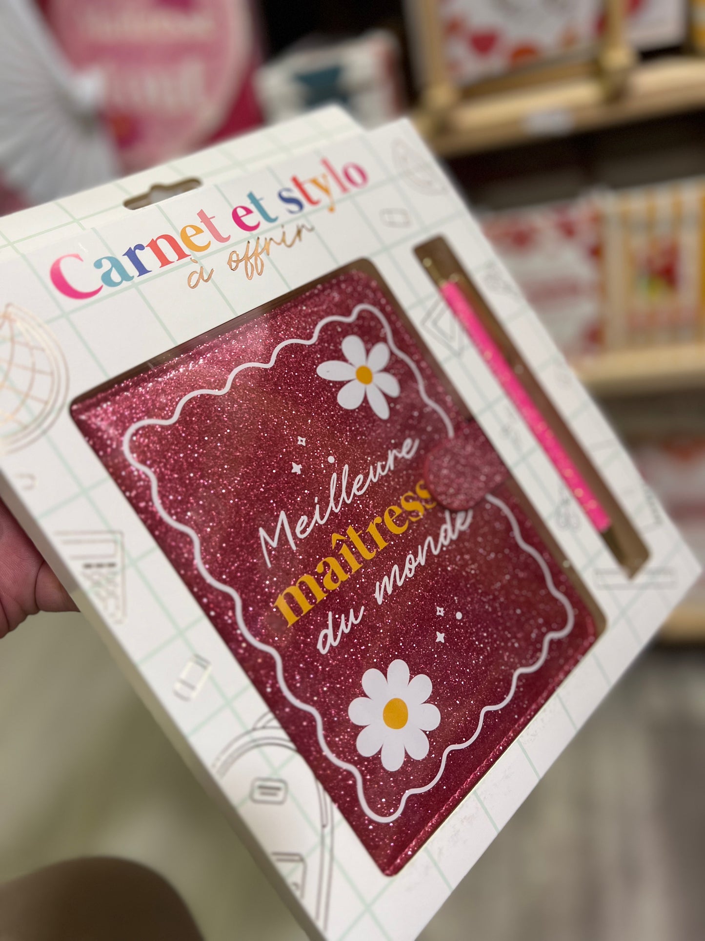 Coffret carnet et stylo maîtresse