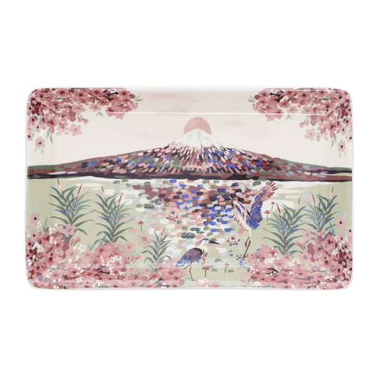 Vide poche fuji