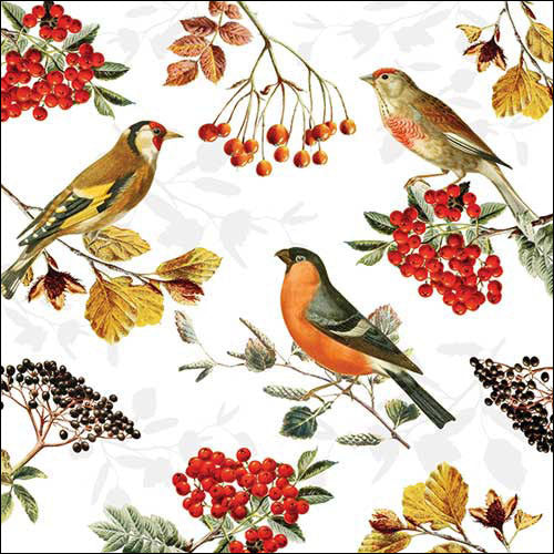 Serviettes oiseaux d’automne 33 × 33 cm – paquet de 20
