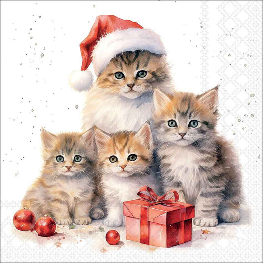 Serviettes Meaowy Christmas 33 × 33 cm – paquet de 20