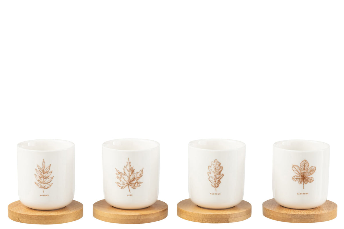 Boîte 4 tasse a cafe + sous-tasse bambou feuille boîte cadeau ceramique marron – J-line