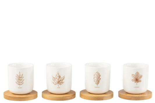 Boîte 4 tasse a cafe + sous-tasse bambou feuille boîte cadeau ceramique marron – J-line