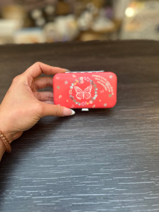 Kit de manucure collègue rouge à motif papillon et fleurs dans son étui fermé